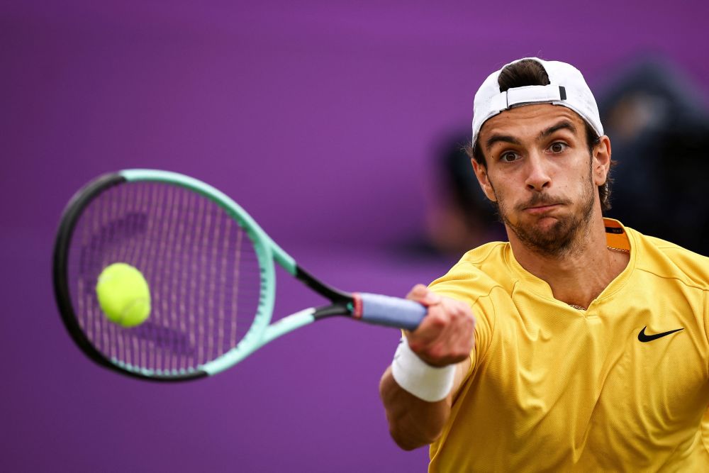 世界网坛的 世界网坛的